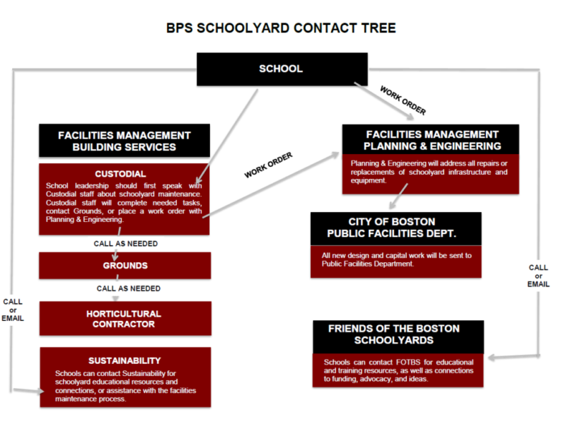 BPS Schoolyards Contact Tree