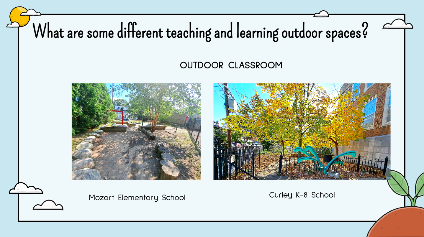 Outdoor Classroom Examples at Mozart and Curley