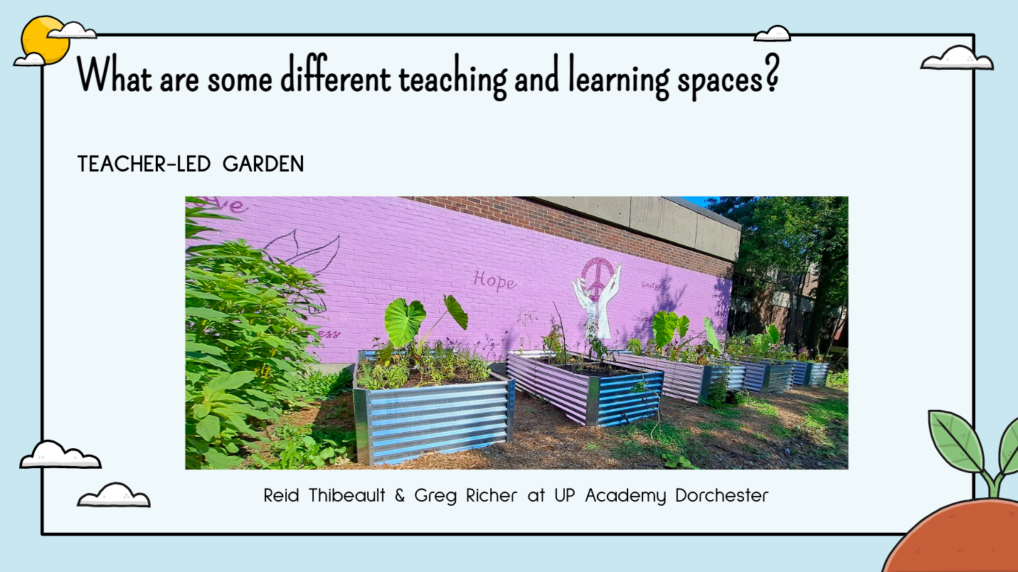 Teacher-led garden at UP Academy Dorchester